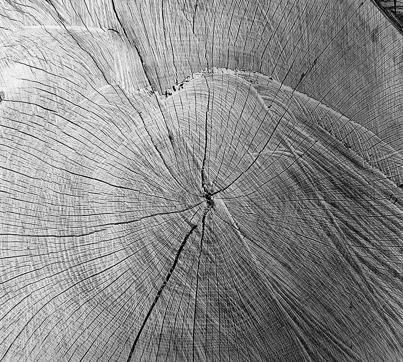 Wood